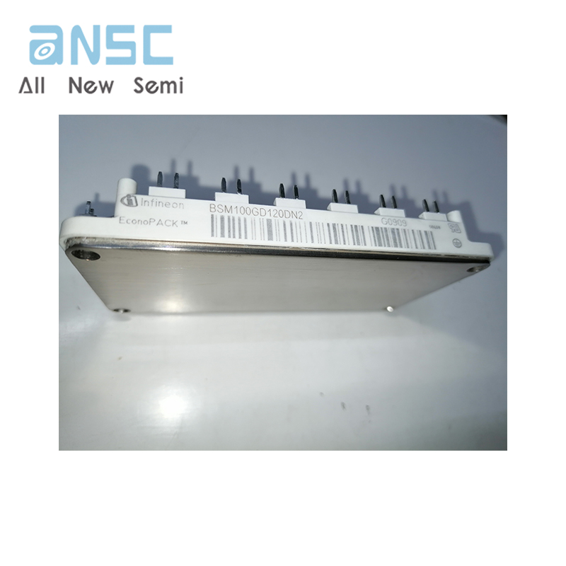 BSM100GD120DN2   2