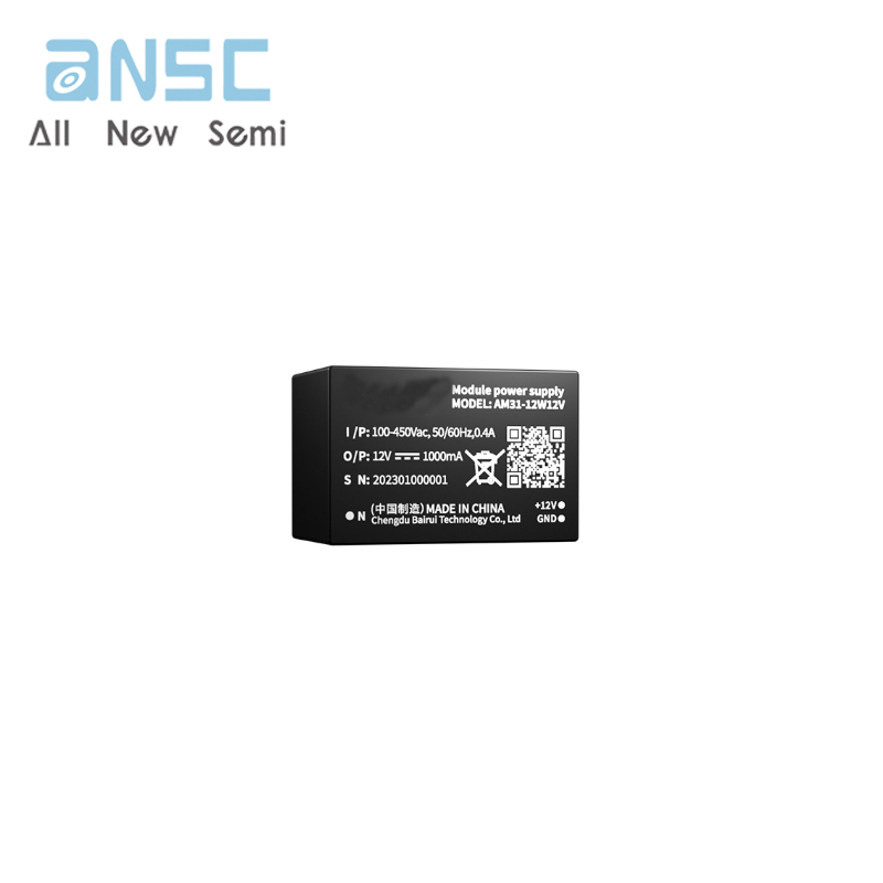 AM31-12W12V
