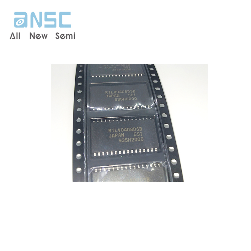 R1LV0408DSB-5SI