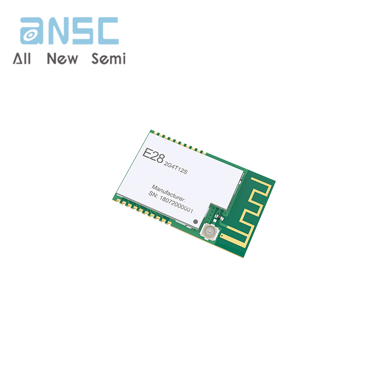 E28-2G4T12S E28-2G4T12S