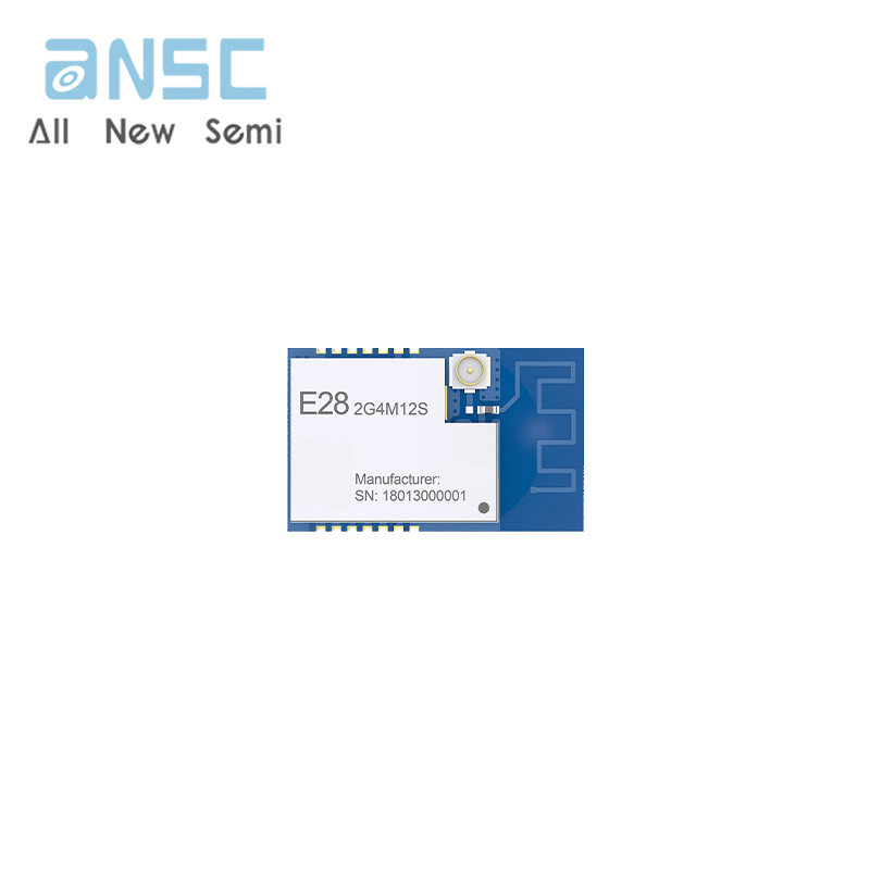 E28-2G4M12S